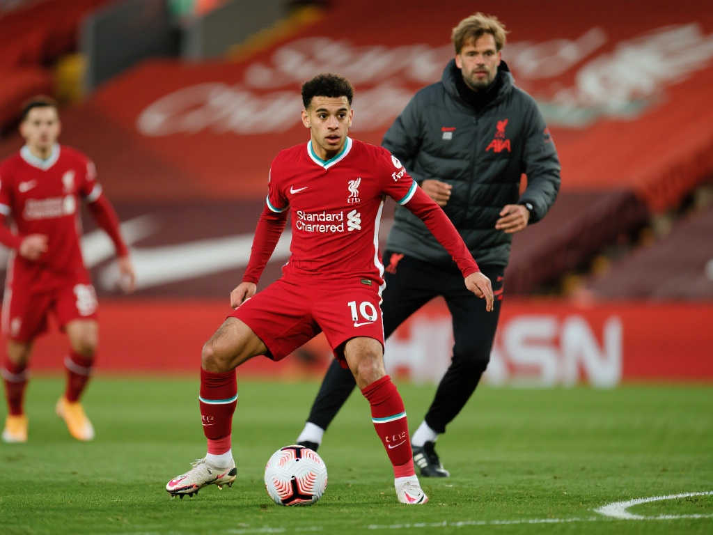 在逆境中 在逆境中